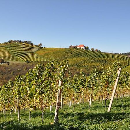 مبيت وإفطار Ratsch an der Weinstraße Weingut Koegl المظهر الخارجي الصورة