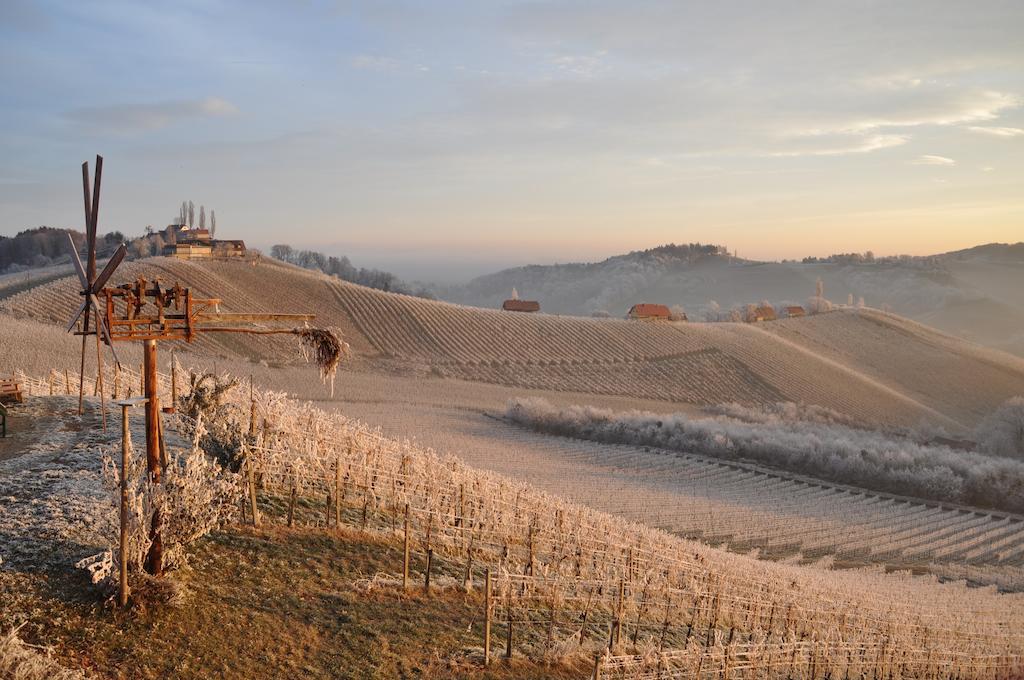 مبيت وإفطار Ratsch an der Weinstraße Weingut Koegl المظهر الخارجي الصورة
