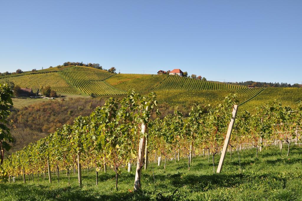 مبيت وإفطار Ratsch an der Weinstraße Weingut Koegl المظهر الخارجي الصورة